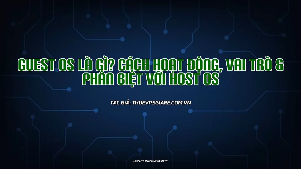 Guest OS là gì? Cách hoạt động, vai trò & phân biệt với Host OS