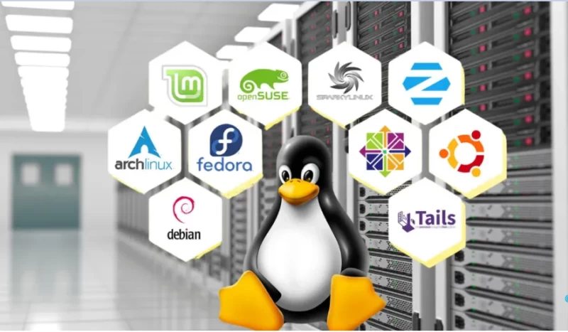 VPS Linux hỗ trợ nhiều bản phân phối và hoàn toàn miễn phí 