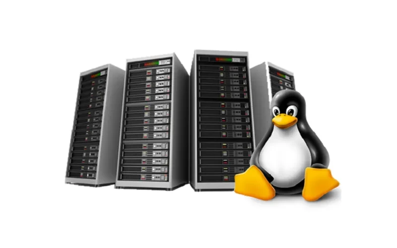 VPS Windows và VPS Linux: Đâu là giải pháp phù hợp cho dự án của bạn 3 Trường hợp nào nên sử dụng VPS Linux?