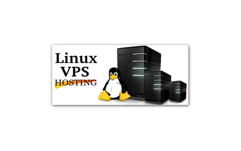 VPS Windows và VPS Linux: Đâu là giải pháp phù hợp cho dự án của bạn 2 VPS Linux là gì?