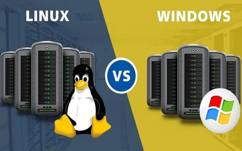 VPS Windows và VPS Linux: Đâu là giải pháp phù hợp cho dự án của bạn 4 Nên chọn VPS Windows hay VPS Linux?